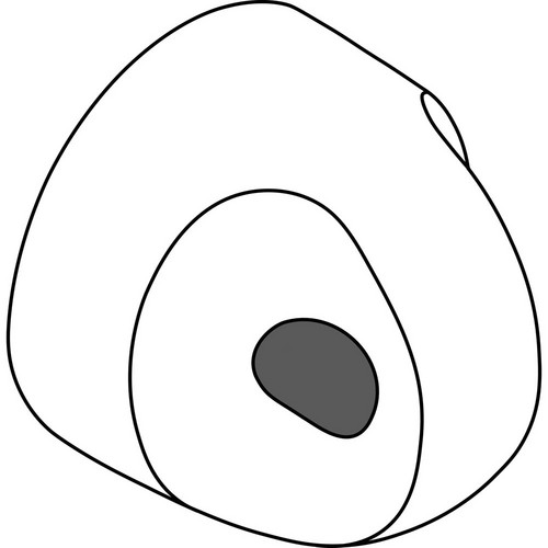 E6476640